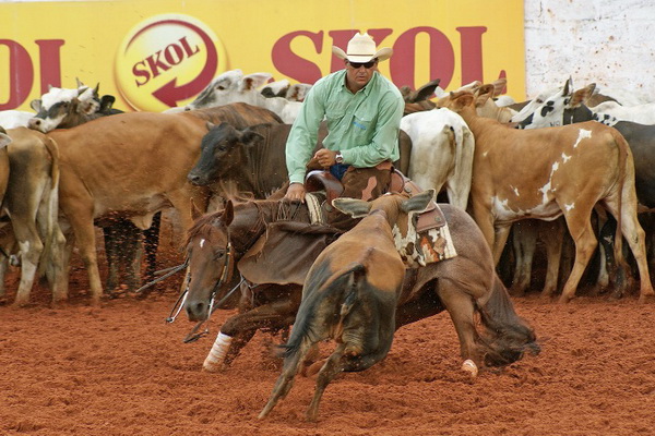 Aroldo José Marcelino